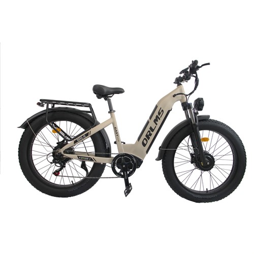 Bici elettrica pieghevole - bici,